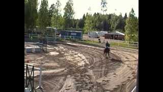 Amóntillado 130 Tierp 245-13 Seger