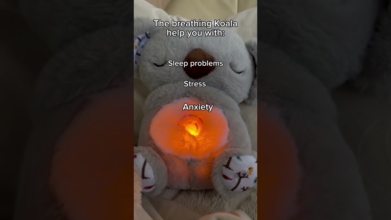 The breathing koala will solve your stress problems 🐨 link in bio 