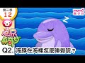世界真奇妙S3 12 Q2 海豚在海裡怎麼睡覺呢 為什麼 為甚麼 WHY 孩子的疑問 Q A 學習新知長知識 教育問答 第三季 第12集 題目02 親子台 官方HD短版 Momokids 世界真奇妙S3 12 Q2 海豚在海裡怎麼睡覺呢 為什麼 為甚麼 WHY 孩子的疑問 Q A 學習新知長知識 教育問答 第三季 第12集 題目02 親子台 官方HD短版 Momokids