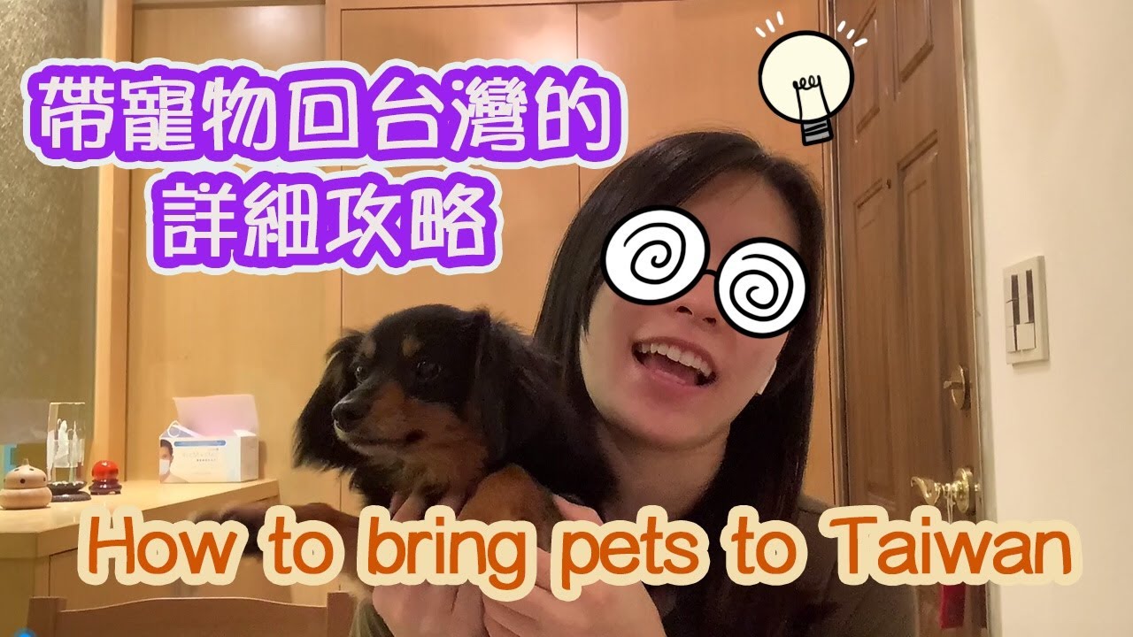 如何帶寵物回台灣 How to bring pets to Taiwan YouTube