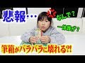 りみの筆箱がバラバラに壊れてしまいました…泣(´；ω；`)ｳｩｩ【小学生の筆箱】【しほりみチャンネル】