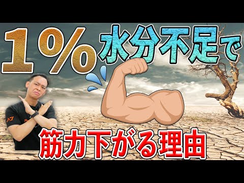 トレーニングラボ｜ノリ