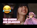 Gambar cover Which Member Would? | BLACKPINK on RELEASED I REACTION I