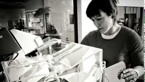 Throwback Thursday | Driven: This World Unfolding | Exploratorium
