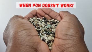 Pon Vs Soil | Understanding the Pros and Cons of Lechuza Pon