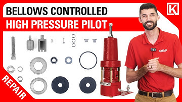 Bellows Controlled High Pressure Pilot (150PG) 🔧 Maintenance & Repair