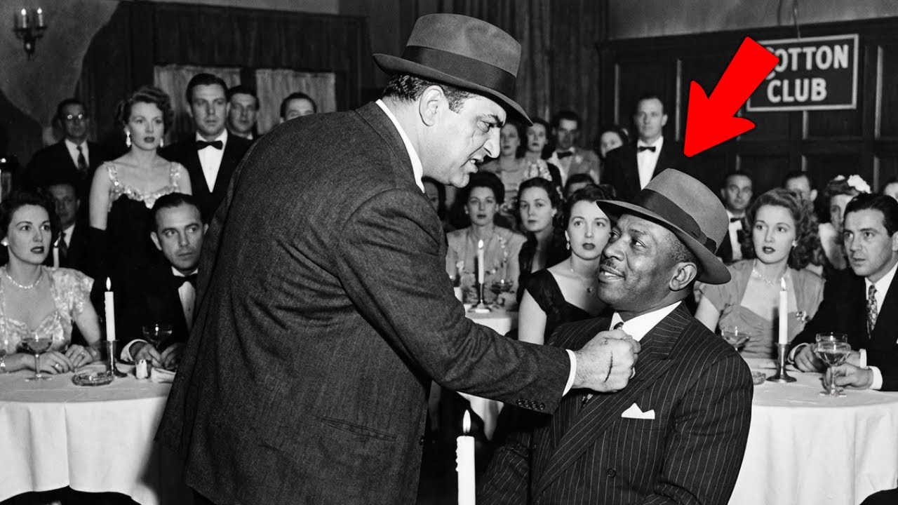 Italian Enforcer GRABBED Bumpy Johnson's Collar at the Cotton Club — He Never Used That Hand Again