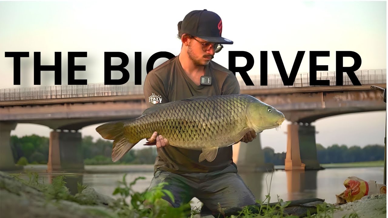 Carpfishing sul Po | THE BIG RIVER