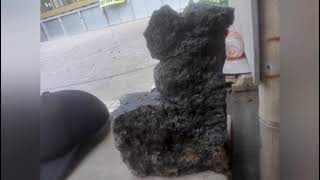 Di rumah ane banyak fosil &quot; kayu ,tulang dan buah &quot; an.