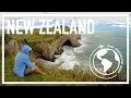 Crashing my drone in Wharariki beach - A wop in New Zealand 7 - The Traveling Wop