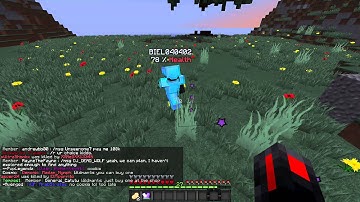 BIEL040402 Hacking on FearPvP