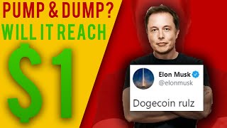 What Happened to Dogecoin in 2020? | Ɖogecoin Price Surge Explained