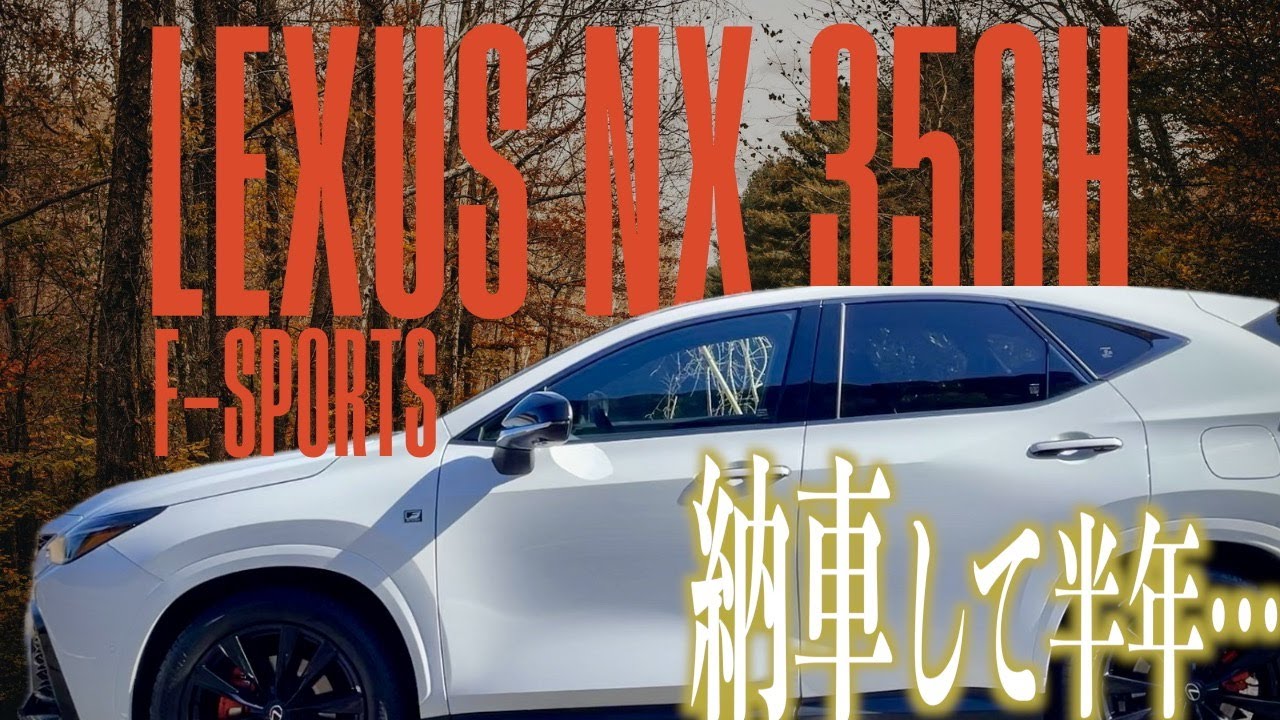 【レクサス】LEXUS NX半年レビュー!!!