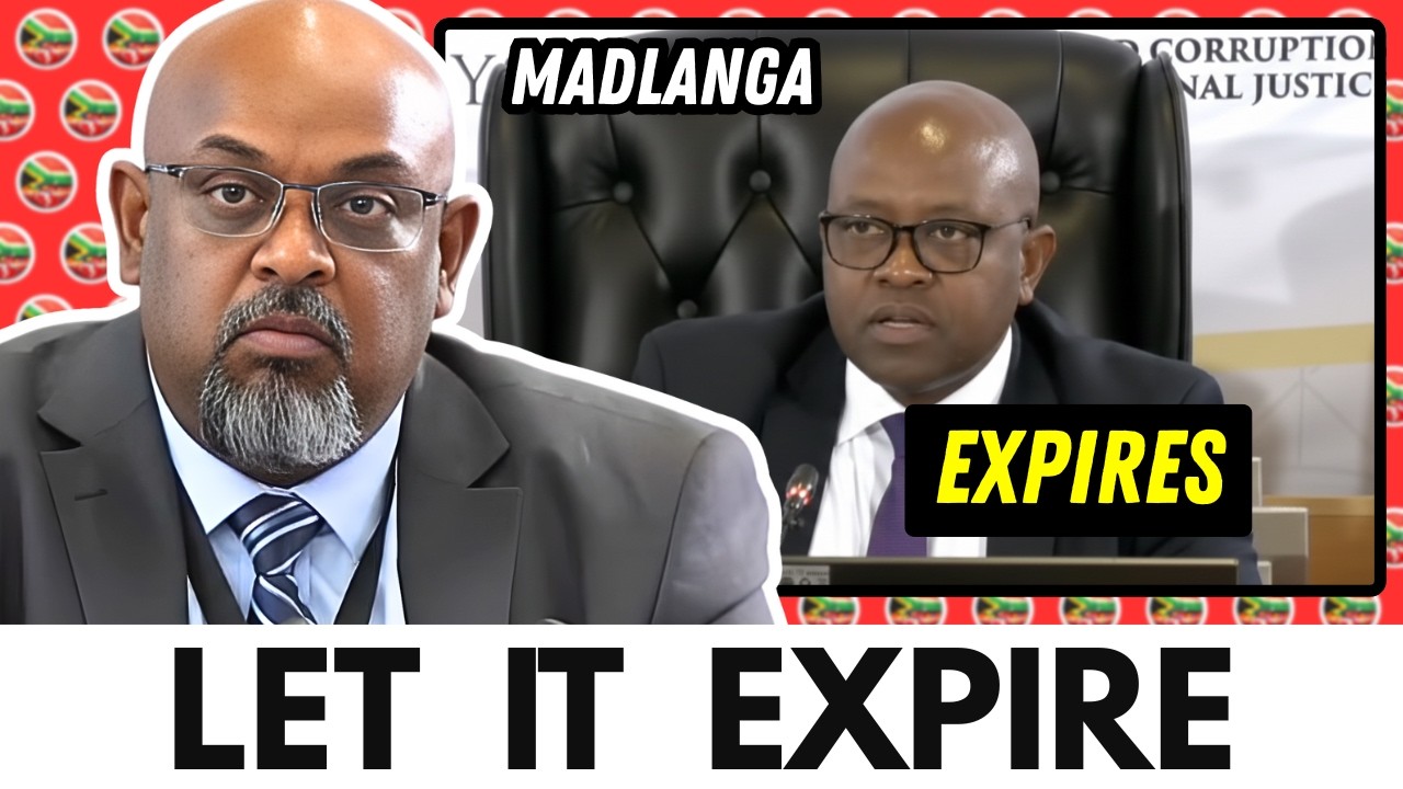 “YOU LET IT EXPIRE”: Madlanga Grills Behari as Mkhwanazi Case Collapses