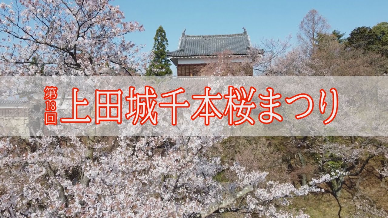 第18回上田城千本桜まつり