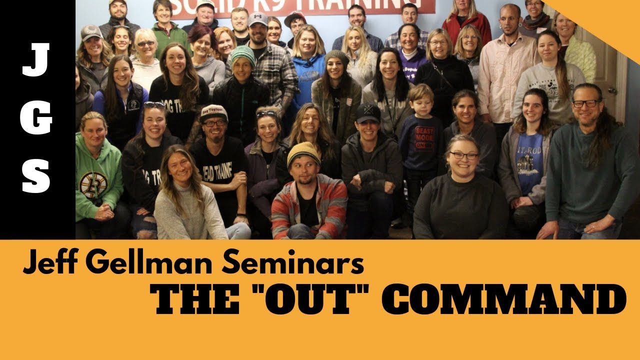 dog trainer in delhi The Out Command | Jeff Gellman Seminars
