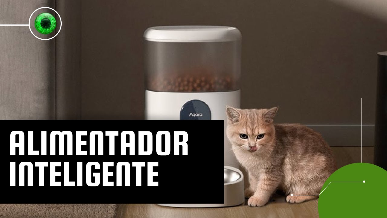 Alimentador inteligente libera ração para pets em horários agendados