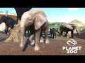 Planet Zoo - NASCERAM FILHOTES de elefante e um deles é o DUMBO