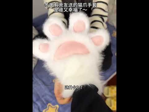 من يقاوم قفازات مخالب القطط الرقيقة واللطيفة في الشتاء قفازات مخالب القطط ت بقيك دافئ ا