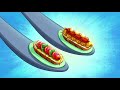 Zig & Sharko 🥖 BREADS AND STUFFS 🥖 YUMMY 🌭 Cartoons for Children