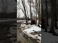 Quick Tree Fall | #heavyequipment | #tree