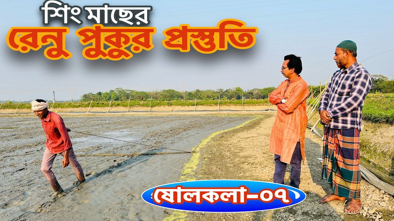 শিং মাছের রেনু পুকুর প্রস্তুতি.. ষোলকলা-০৭ ll catfish bd