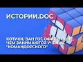 Котики, Ван Гог, офис в поле. Чем занимаются учёные «Командорского»