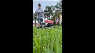 how to mow overgrown lawn