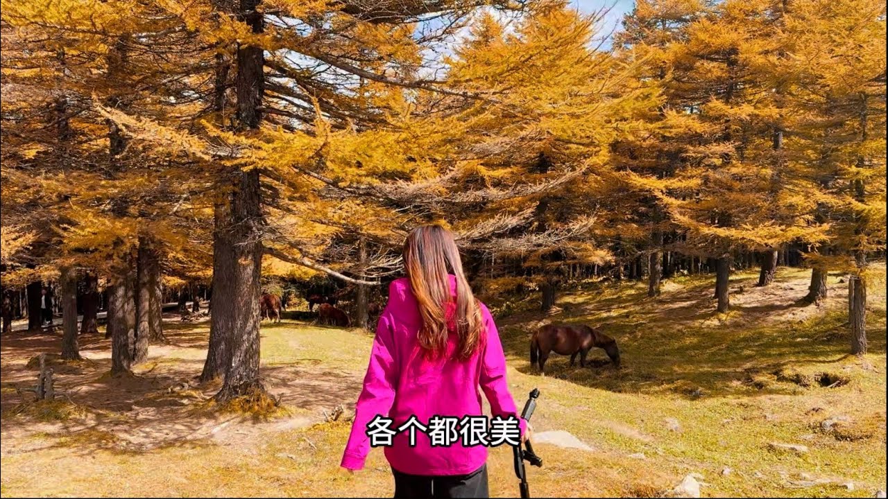 芦芽山两天一晚攻略