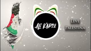 Leve Palestina Remix (DJ Ali Karsu) | تحيا فلسطين ريمكس