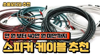2021년 스피커 케이블 추천 (feat. 만 원 부터 40만 원 미만)