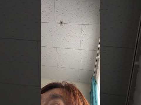 世界が一つになるまで　ya_ya_yaとコラボ
