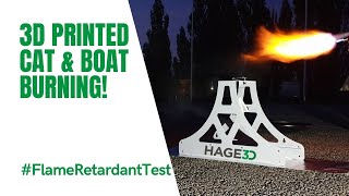 Burning cat and burning boat: 3D printing Flame Retardant Tests 2020