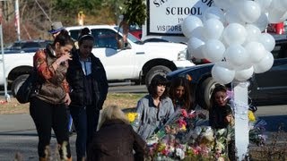 Nra Pres. Defends Disrespectful Connecticut Effect