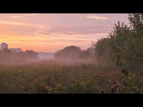 ВАЙБОВЫЕ ПЕСНИ | НОЧНОЙ ВАЙБ | ЛЕТНИЙ ВАЙБ / vibe music