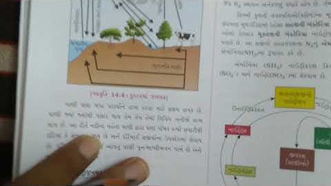 Std 9 Science Ch 14 Part 5