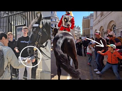 HORSE DID THIS: Tourists Had SCARE at Changing of the Guard  \u0026 King's Guard Smile at Horse Guards