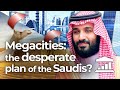 Why does SAUDI ARABIA want to create a JURASSIC PARK? - VisualPolitik EN