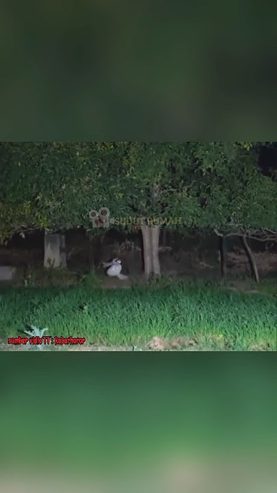 KUNTILANAK MAIN AYUNAN😭😭 #trending #shorts #horror #hororkomedi #creepy #misteri #kuntilanak
