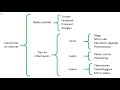 Vlog 24. Técnicas de estudio III El esquema