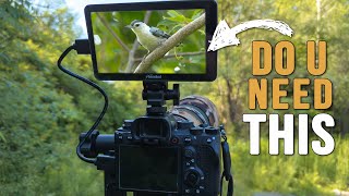 Why I Started Using an EXTERNAL Monitor for My Bird Photography | Shimbol Memory I