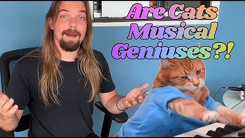 Proof You Can Play ANYTHING with RTOM Black Holes &  BH triggers #hybriddrums #edrums #drummer