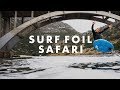 Surf Foil Safari - Zane Schweitzer