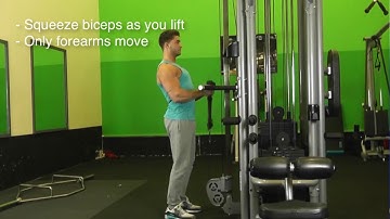 Rope Hammer Curls and Drop Set