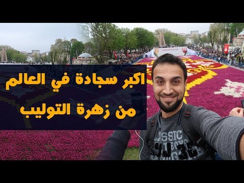 في اسطنبول أكبر سجادة في العالم من زهرة التوليب