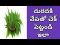 Health Benefits And Uses Of Neem Tree Leaves For Skin Care | Home Remedi...