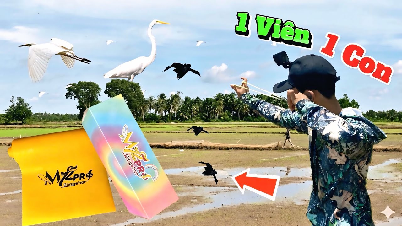 Dùng Thử Thun M72 Pro Săn Vài Con Hàng To To Về Ẩm Thực Quá Êm !! || Tiến Đạt SlingShot