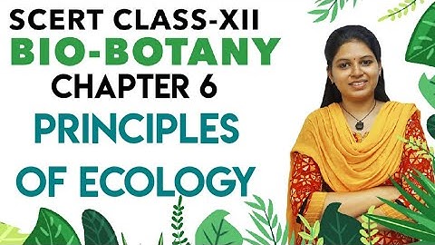 SCERT class 12 - Botany chapter 6 - principles of ecosystem