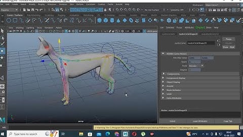 Maya Tutorials, Learn Rigging a Siamese Cat from Scratch in Maya ( Part 3)