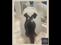 Lolita “Little Black Dress” Wine Glass – Hand-Painted, Recipe on Base, Collectible Gift